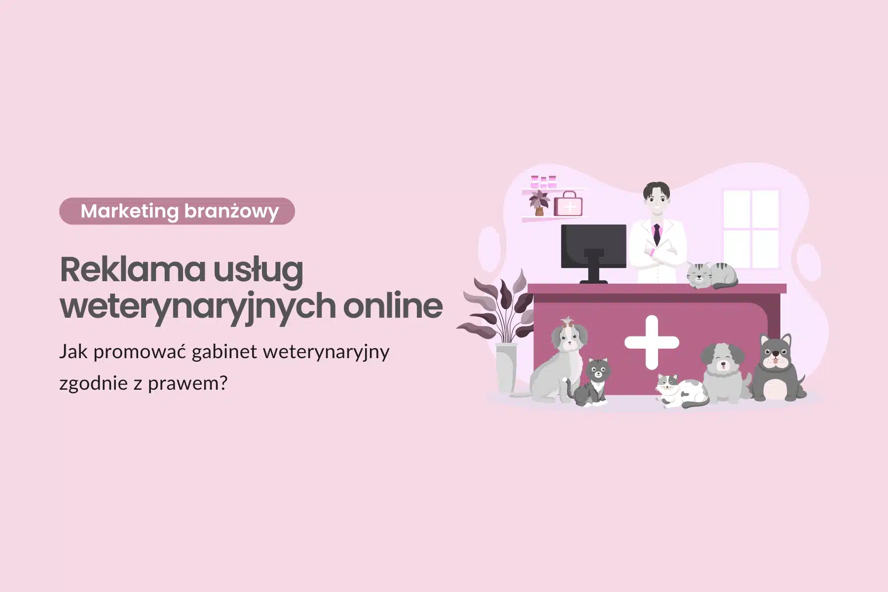 Reklama usług weterynaryjnych online - jak promować gabinet weterynaryjny zgodnie z prawem?